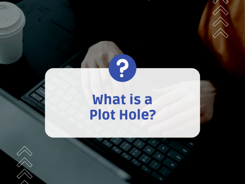 What is a Plot&nbsp;Hole?